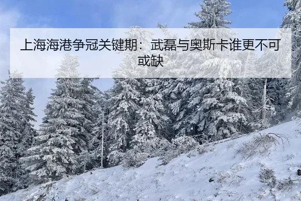 shang-hai-hai-gang-zheng-guan-guan-jian-qi-wu-lei-yu-ao-si-ka-shui-geng-bu-ke-huo-que-3-638.jpg